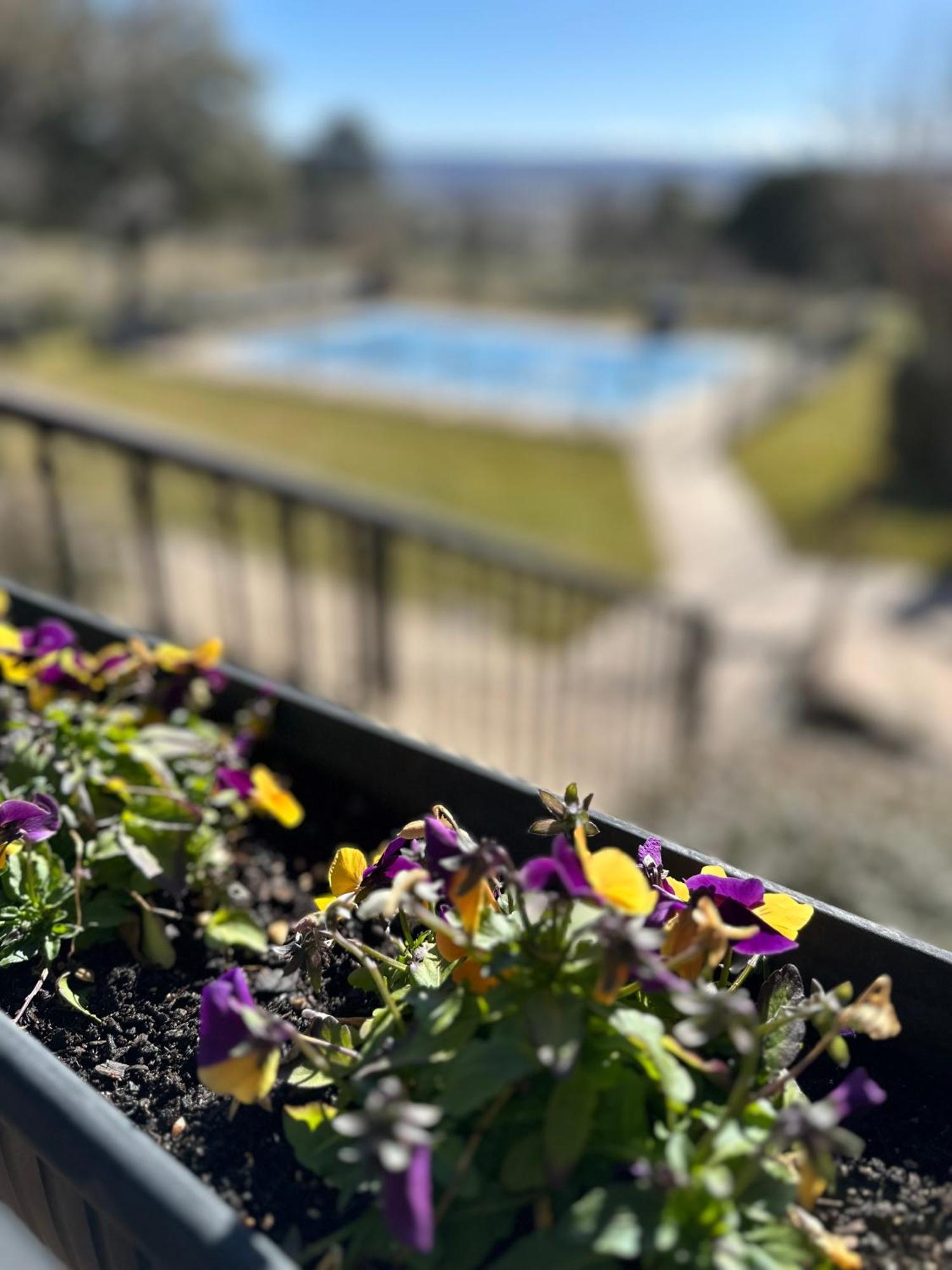 Casita En El Campo Dentro De La Ciudad * Ávila